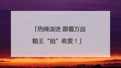 热辣滚烫 跟着万亩粮王“抢”收麦！