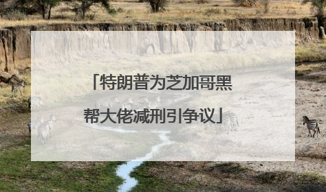 特朗普为芝加哥黑帮大佬减刑引争议
