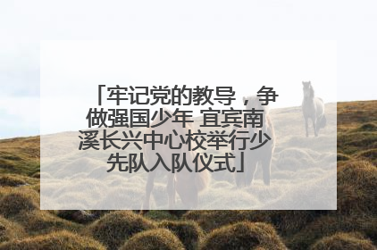 牢记党的教导，争做强国少年 宜宾南溪长兴中心校举行少先队入队仪式