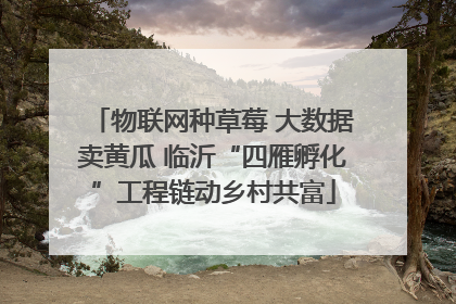 物联网种草莓 大数据卖黄瓜 临沂“四雁孵化”工程链动乡村共富