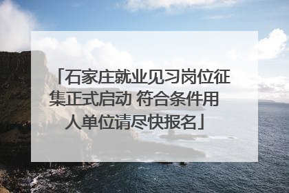 石家庄就业见习岗位征集正式启动 符合条件用人单位请尽快报名