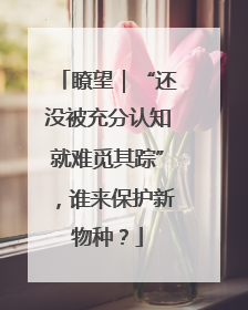 瞭望｜“还没被充分认知就难觅其踪”，谁来保护新物种？