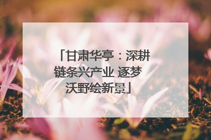 甘肃华亭：深耕链条兴产业 逐梦沃野绘新景