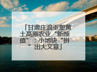 甘肃庄浪重塑黄土高原农业“新颜值”：小地块“拼”出大文章