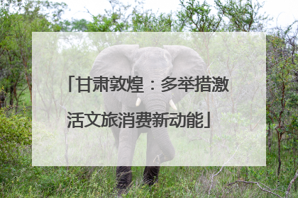 甘肃敦煌：多举措激活文旅消费新动能