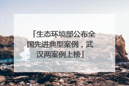 生态环境部公布全国先进典型案例，武汉两案例上榜