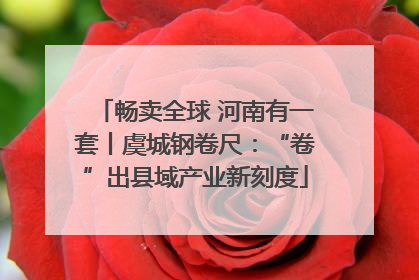 畅卖全球 河南有一套丨虞城钢卷尺：“卷”出县域产业新刻度