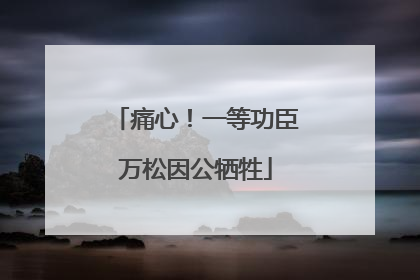 痛心！一等功臣万松因公牺牲