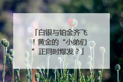 白银与铂金齐飞！黄金的“小弟们”正同时爆发？