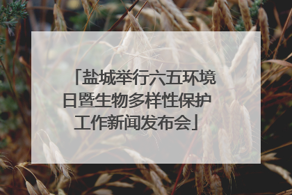 盐城举行六五环境日暨生物多样性保护工作新闻发布会