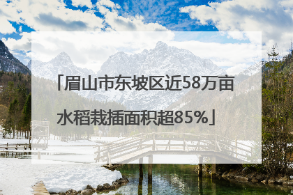 眉山市东坡区近58万亩水稻栽插面积超85%