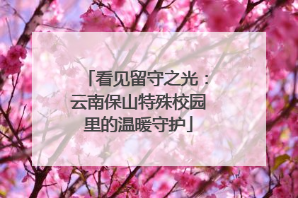 看见留守之光：云南保山特殊校园里的温暖守护