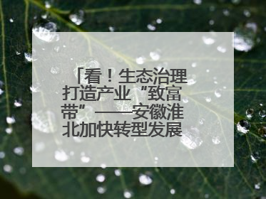 看！生态治理打造产业“致富带”——安徽淮北加快转型发展助力乡村振兴