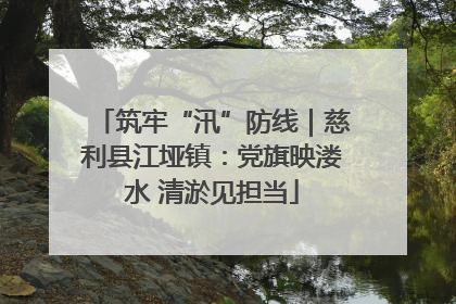 筑牢“汛”防线｜慈利县江垭镇：党旗映溇水 清淤见担当