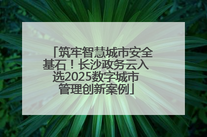 筑牢智慧城市安全基石！长沙政务云入选2025数字城市管理创新案例