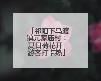 祁阳下马渡镇元家庙村：夏日荷花开 游客打卡热