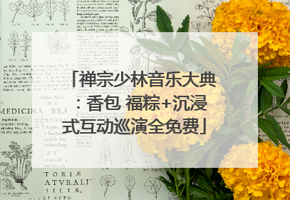 禅宗少林音乐大典：香包 福粽+沉浸式互动巡演全免费
