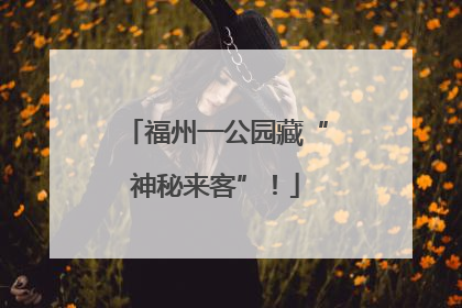 福州一公园藏“神秘来客”！