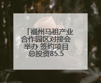 福州马祖产业合作园区对接会举办 签约项目总投资85.5亿元