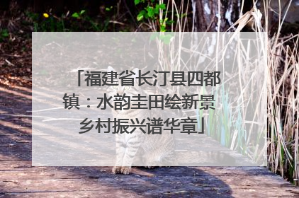 福建省长汀县四都镇：水韵圭田绘新景 乡村振兴谱华章