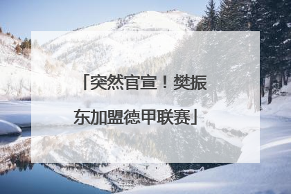 突然官宣！樊振东加盟德甲联赛