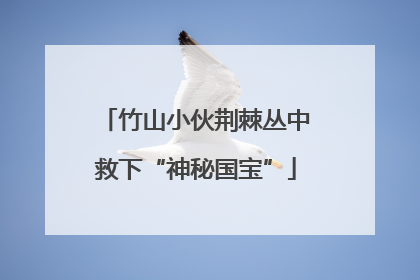 竹山小伙荆棘丛中救下“神秘国宝”
