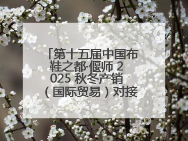 第十五届中国布鞋之都·偃师 2025 秋冬产销（国际贸易）对接会隆重开幕