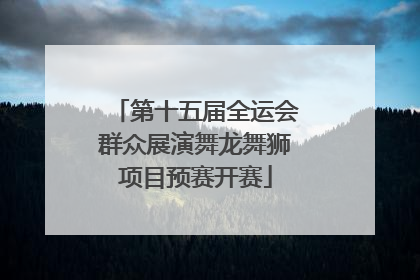 第十五届全运会群众展演舞龙舞狮项目预赛开赛