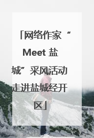 网络作家“Meet 盐城”采风活动走进盐城经开区