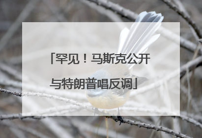 罕见！马斯克公开与特朗普唱反调