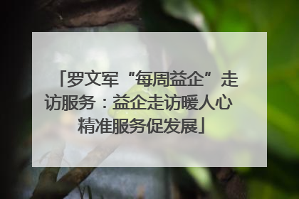罗文军“每周益企”走访服务：益企走访暖人心 精准服务促发展