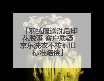 羽绒服送洗后印花脱落 客户质疑京东洗衣不按折旧标准赔偿