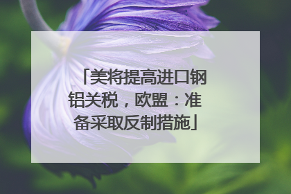 美将提高进口钢铝关税，欧盟：准备采取反制措施
