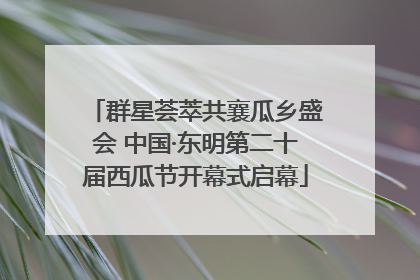 群星荟萃共襄瓜乡盛会 中国·东明第二十届西瓜节开幕式启幕