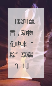 粽叶飘香，动物们也来“粽”享端午！