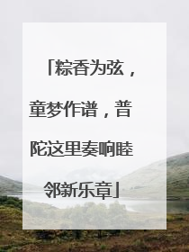 粽香为弦，童梦作谱，普陀这里奏响睦邻新乐章