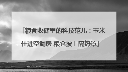 粮食收储里的科技范儿：玉米住进空调房 粮仓披上隔热罩