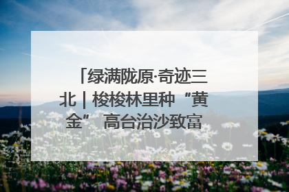 绿满陇原·奇迹三北｜梭梭林里种“黄金” 高台治沙致富很“从容”