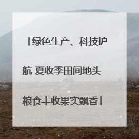 绿色生产、科技护航 夏收季田间地头粮食丰收果实飘香