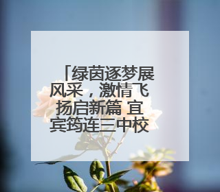 绿茵逐梦展风采，激情飞扬启新篇 宜宾筠连三中校园足球联赛开赛
