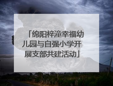绵阳梓潼幸福幼儿园与自强小学开展支部共建活动