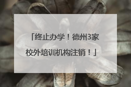 终止办学！德州3家校外培训机构注销！