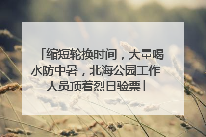 缩短轮换时间，大量喝水防中暑，北海公园工作人员顶着烈日验票