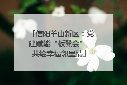 信阳羊山新区：党建赋能“板凳会” 共绘幸福邻里情