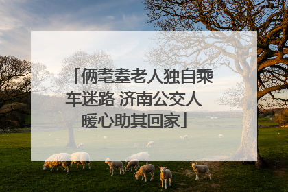 俩耄耋老人独自乘车迷路 济南公交人暖心助其回家