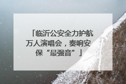 临沂公安全力护航万人演唱会，奏响安保“最强音”