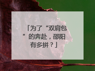 为了“双肩包”的奔赴，邵阳有多拼？