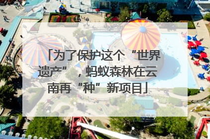 为了保护这个“世界遗产”，蚂蚁森林在云南再“种”新项目