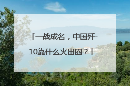 一战成名，中国歼-10靠什么火出圈？