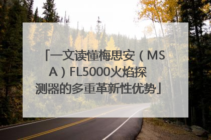 一文读懂梅思安（MSA）FL5000火焰探测器的多重革新性优势